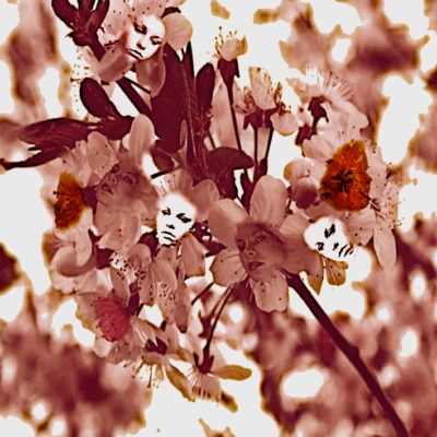 695545_orig